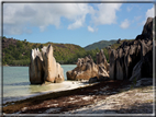 foto Flora e la Fauna alle Seychelles